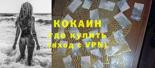 прущие грибы Балабаново