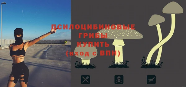 твердый Покров