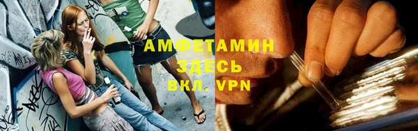 прущие грибы Балабаново