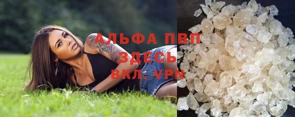 твердый Покачи