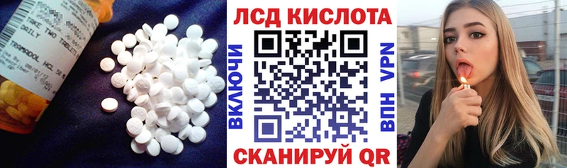 наркошоп darknet Telegram ЛСД экстази кислота Чекалин
