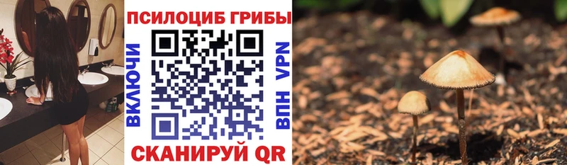 Псилоцибиновые грибы мухоморы Чекалин