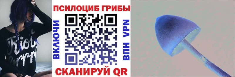 где можно купить   Чекалин  Псилоцибиновые грибы прущие грибы 