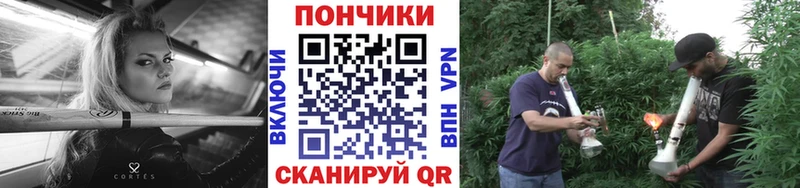наркота  Чекалин  МЕГА вход  Шишки марихуана SATIVA & INDICA 